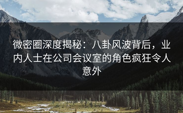 微密圈深度揭秘：八卦风波背后，业内人士在公司会议室的角色疯狂令人意外