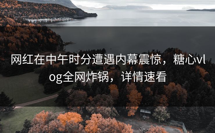 网红在中午时分遭遇内幕震惊，糖心vlog全网炸锅，详情速看